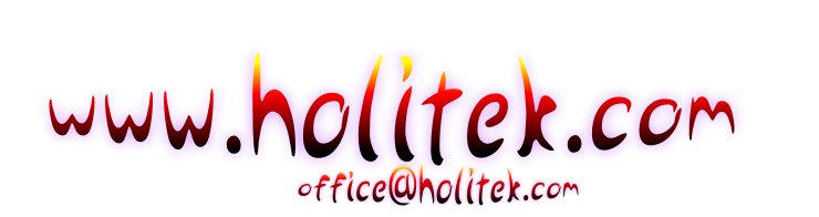 logo www.holitek.com